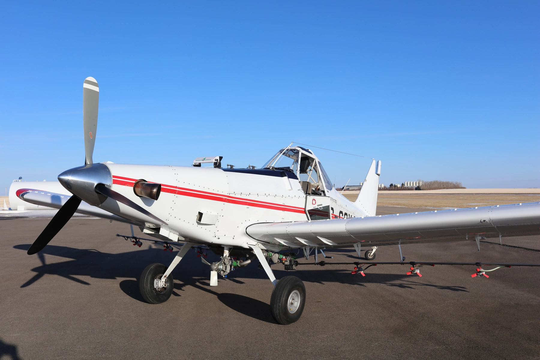 Piper Brave